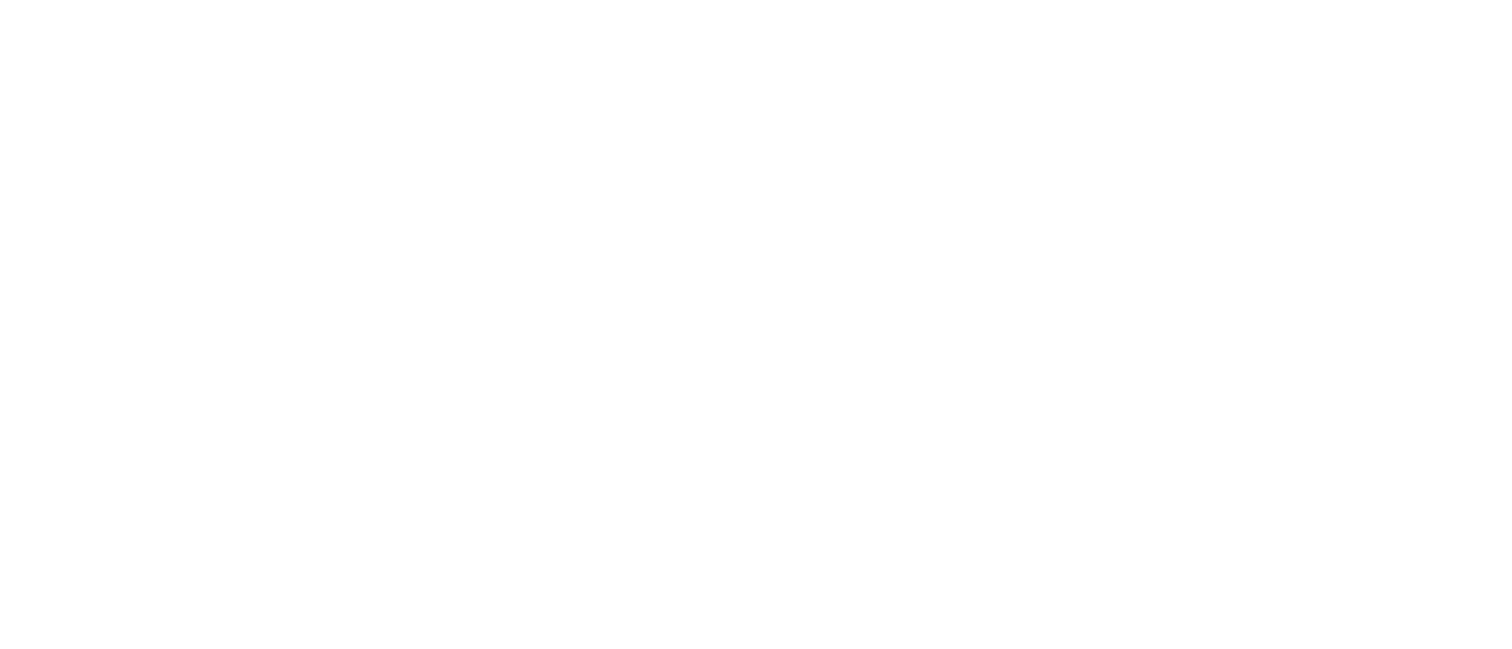 ICOHOLDER